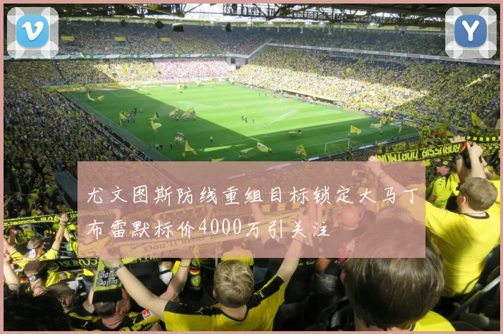尤文图斯防线重组目标锁定大马丁布雷默标价4000万引关注