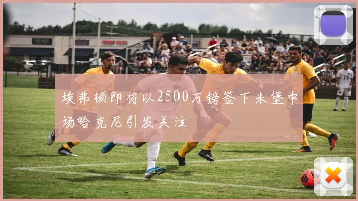 埃弗顿即将以2500万镑签下米堡中场哈克尼引发关注