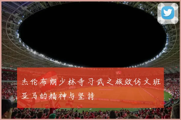 杰伦布朗少林寺习武之旅效仿文班亚马的精神与坚持